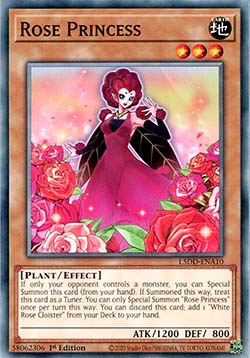 Rose Princess 