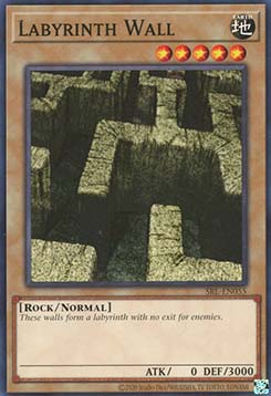 Labyrinth Wall 