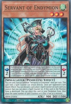 Servant of Endymion 