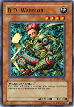 D.D. Warrior 