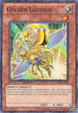 Golden Ladybug 