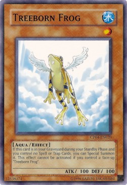 Treeborn Frog 