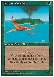 Birds of Paradise - Fourth Edition 