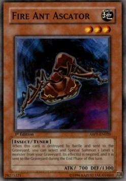 Fire Ant Ascator 