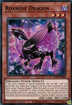 Roxrose Dragon 