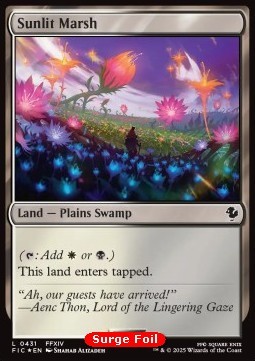 Sunlit Marsh 
