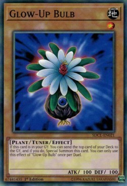 Glow-Up Bulb 