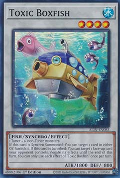 Toxic Boxfish 