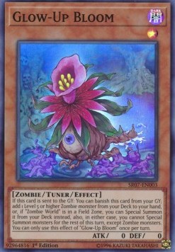 Glow-Up Bloom 