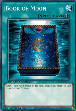 Book of Moon 