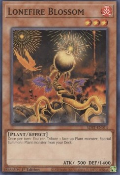Lonefire Blossom 