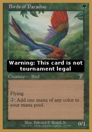 Birds of Paradise 