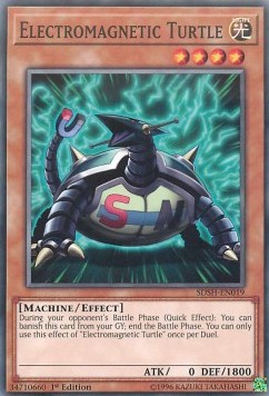 Electromagnetic Turtle 