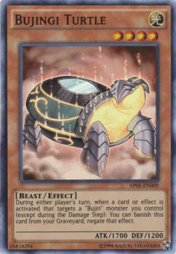 Bujingi Turtle 