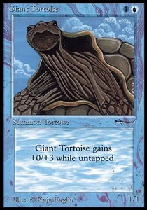 Giant Tortoise (V.1) - Arabian Nights 