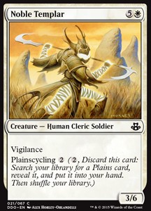 Noble Templar 