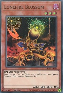 Lonefire Blossom 