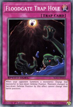 Floodgate Trap Hole (V.1 - Common) 