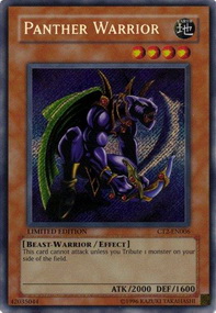 Panther Warrior 