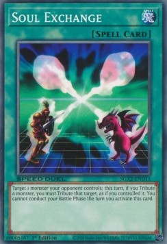 Soul Exchange 