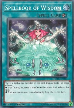 Spellbook of Wisdom 
