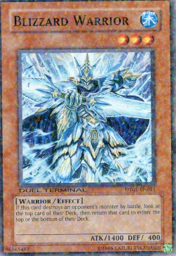 Blizzard Warrior 