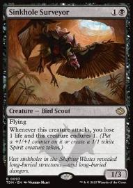 Sinkhole Surveyor 