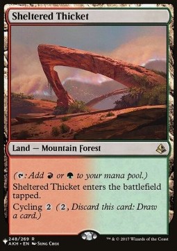 Sheltered Thicket 
