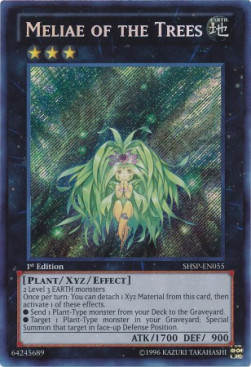 Meliae of the Trees 