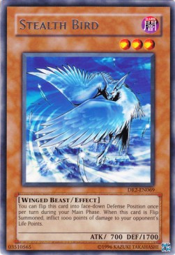 Stealth Bird 