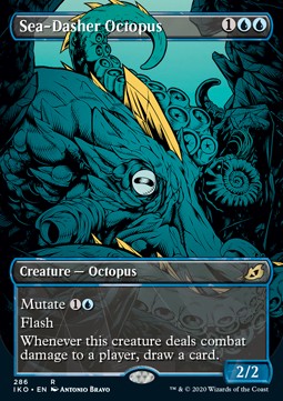 Sea-Dasher Octopus 