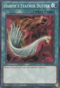 Harpie's Feather Duster 