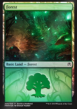 Forest (V.1) - Weekend Promos 