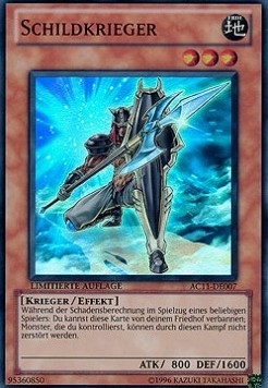 Shield Warrior 