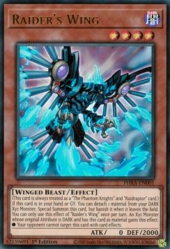 Raider's Wing 