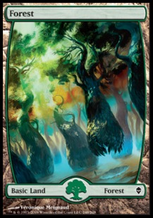 Forest (V.6) - Zendikar 