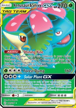 Venusaur & Snivy GX 