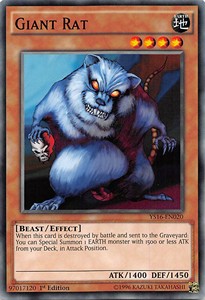 Giant Rat 