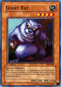 Giant Rat 