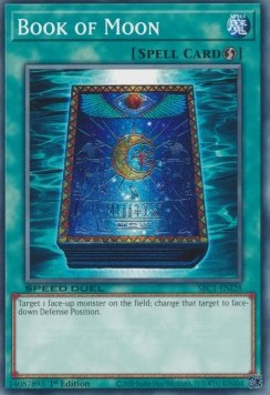 Book of Moon 