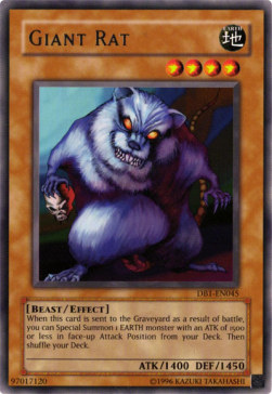 Giant Rat 