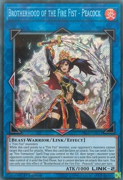 Brotherhood of the Fire Fist - Peacock 