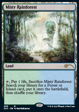 Misty Rainforest 