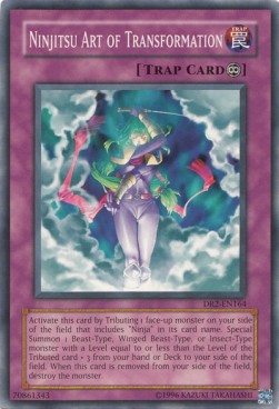 Ninjitsu Art of Transformation 