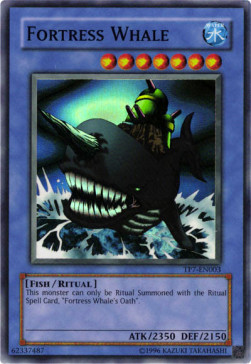 Fortress Whale 