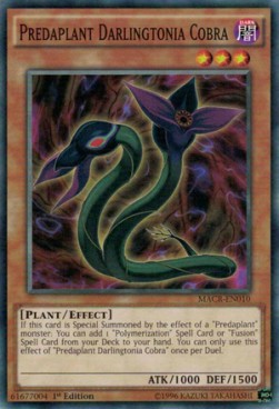 Predaplant Darlingtonia Cobra 