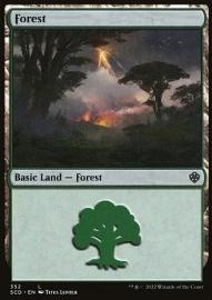 Forest 