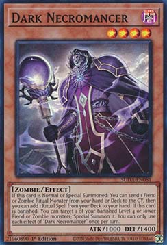 Dark Necromancer 