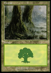 Forest (V.6) 