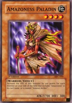 Amazoness Paladin 